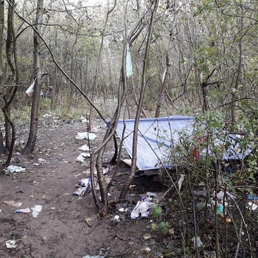 A tarpaulin is draped between trees with rubbish strewn on the floor